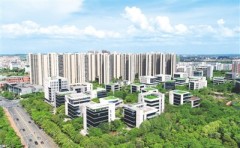 78.webp.jpg 78.webp.jpg