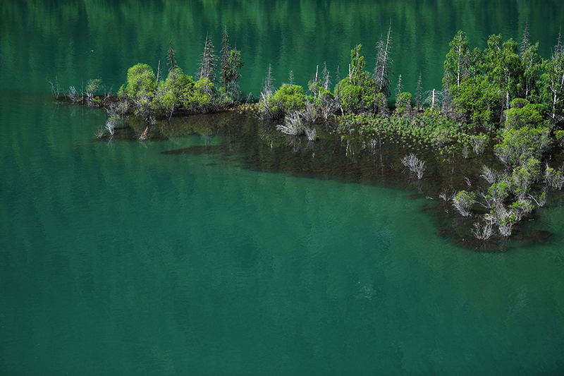 78.webp.jpg 78.webp.jpg